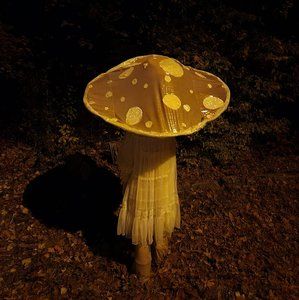 Meet your Posher, Eva